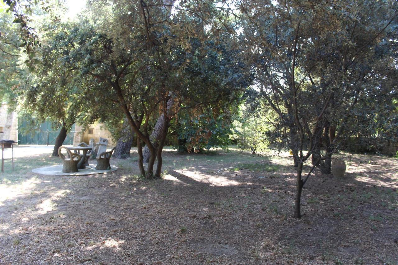 Le Mas De Lucien Entre Arles, Nimes, Avignon. Бокер Екстер'єр фото