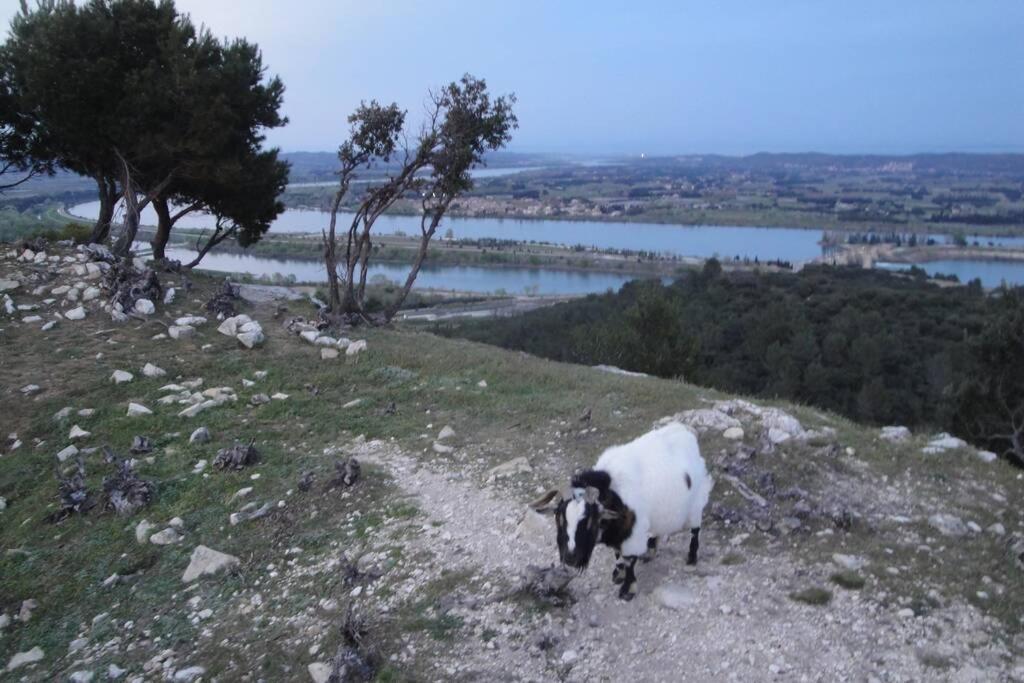 Le Mas De Lucien Entre Arles, Nimes, Avignon. Бокер Екстер'єр фото