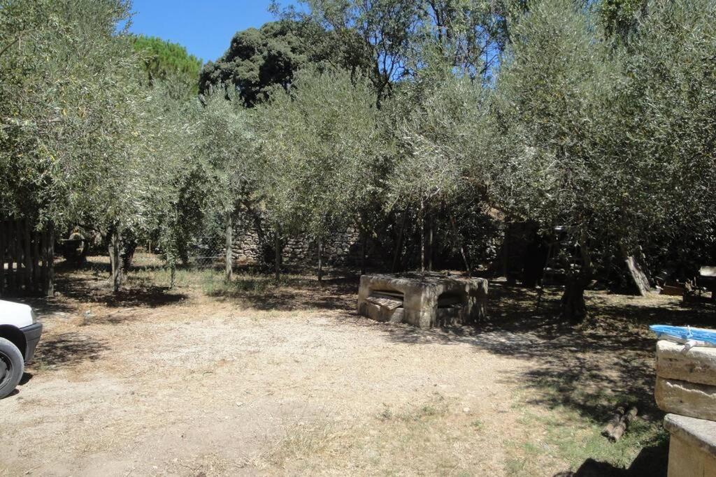Le Mas De Lucien Entre Arles, Nimes, Avignon. Бокер Екстер'єр фото
